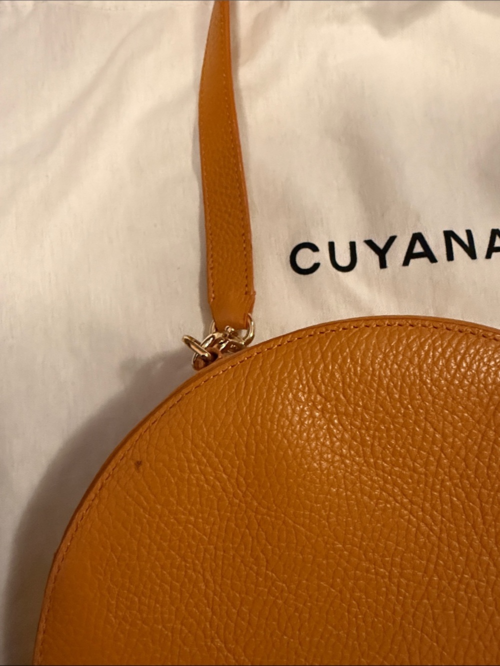 Cuyana Mustard Leather Round Crossbody with Tassel - Picture 2 of 4